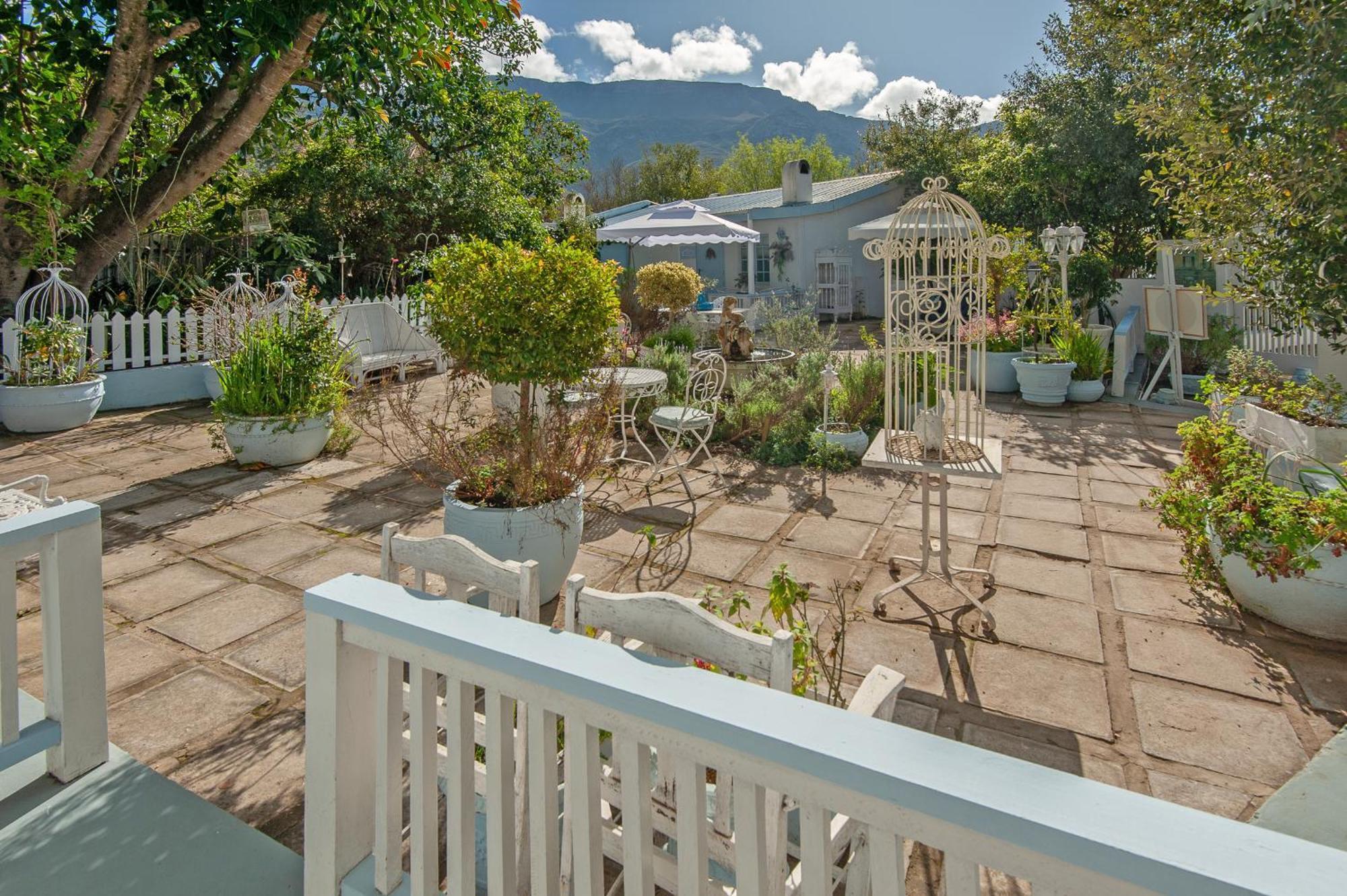 The Lady Grace Greyton